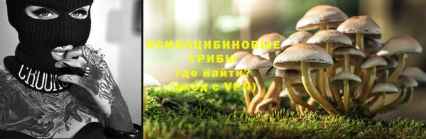 ALPHA PVP Зеленокумск
